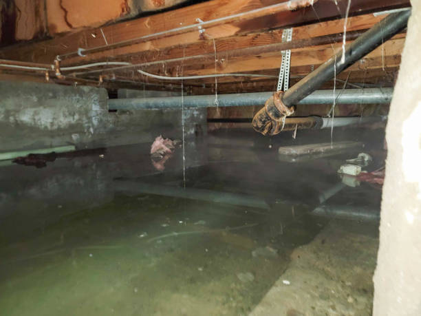 Best Residential water damage restoration  in Sharon Hill, PA