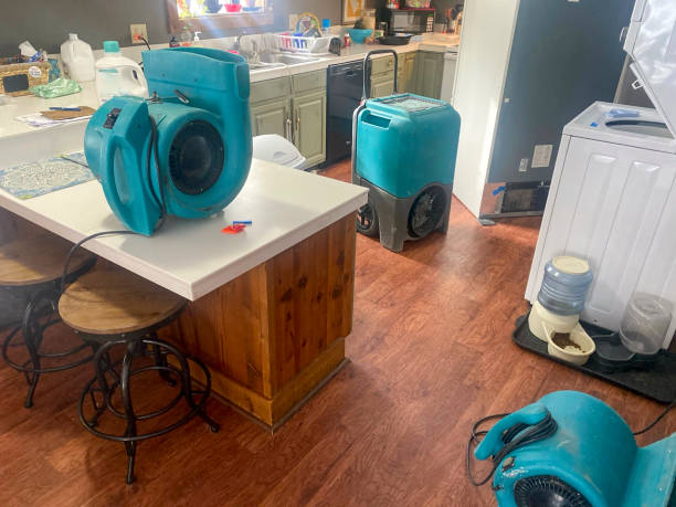 Best Local water damage restoration  in Sharon Hill, PA