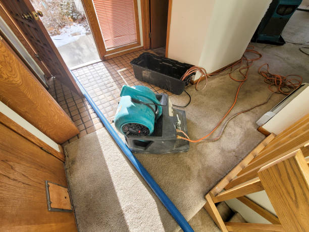 Best Ceiling water damage repair  in Sharon Hill, PA
