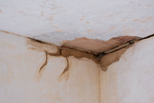 Best Carpet water damage restoration  in Sharon Hill, PA