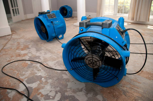 Best Emergency water extraction  in Sharon Hill, PA