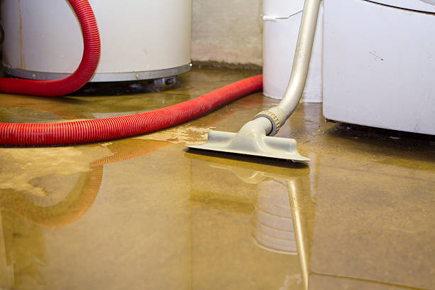 Best Flooded house restoration  in Sharon Hill, PA