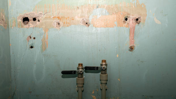 Best Local water damage restoration  in Sharon Hill, PA