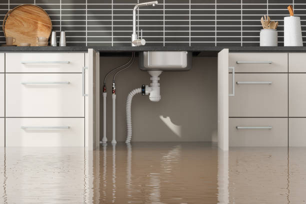 Best Professional water damage repair  in Sharon Hill, PA