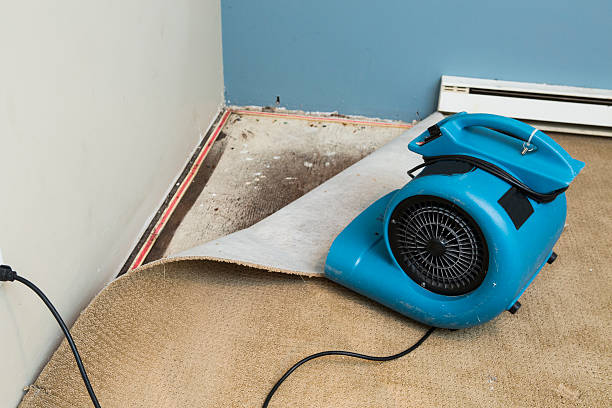 Best Water damage restoration near me  in Sharon Hill, PA